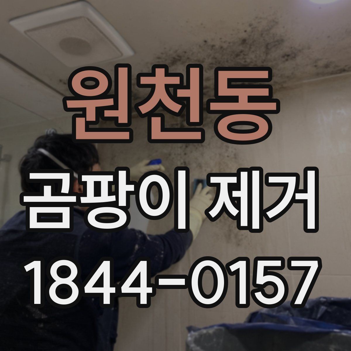 원천동 곰팡이 제거 실내 공기 관리까지 함께 살펴보기