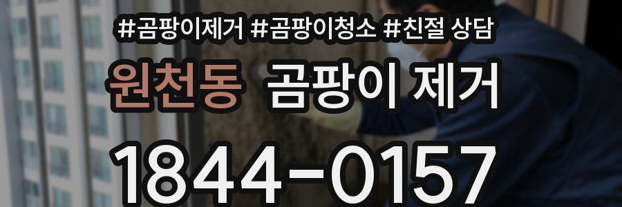 원천동 곰팡이 제거