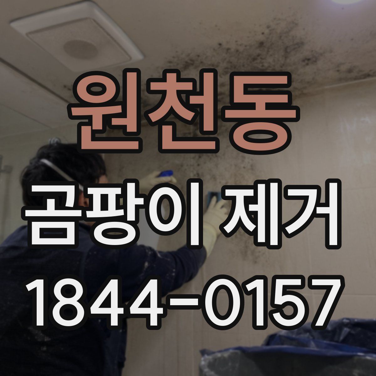 원천동 곰팡이 제거