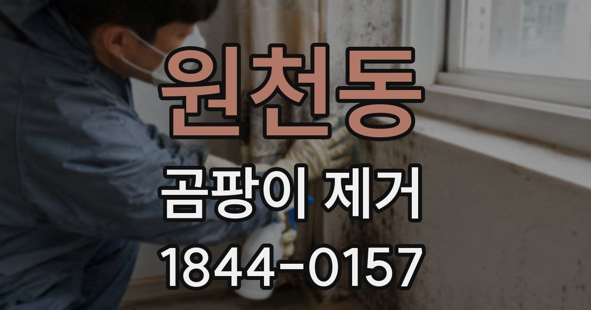 원천동 곰팡이 제거