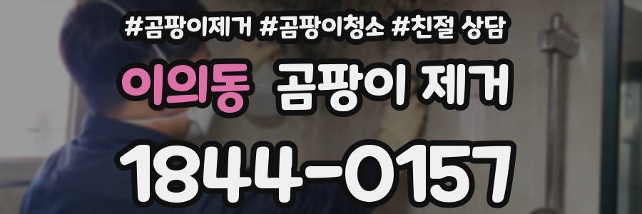 이의동 곰팡이 제거