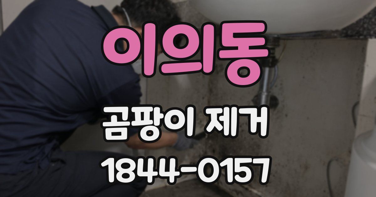 이의동 곰팡이 제거