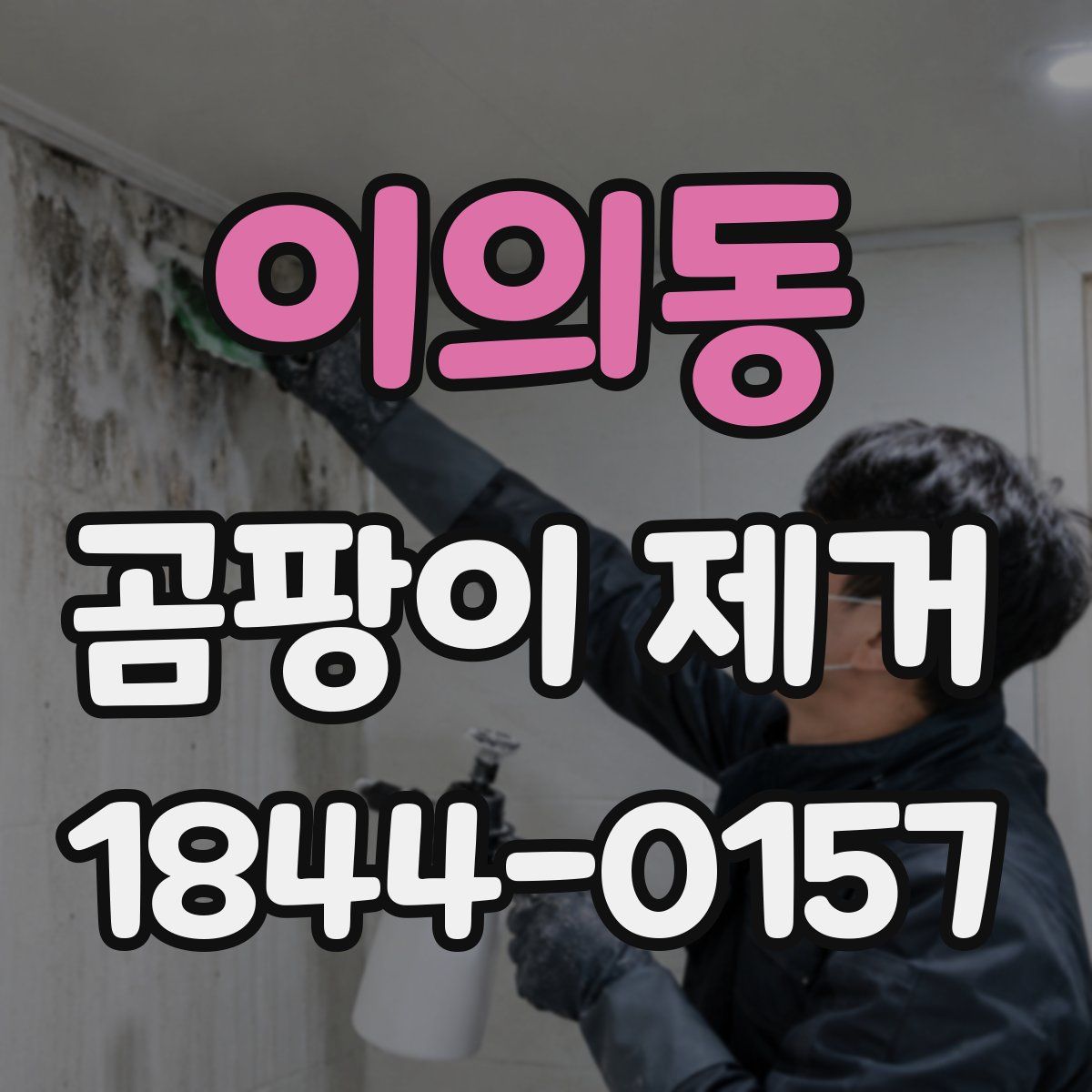 이의동 곰팡이 제거