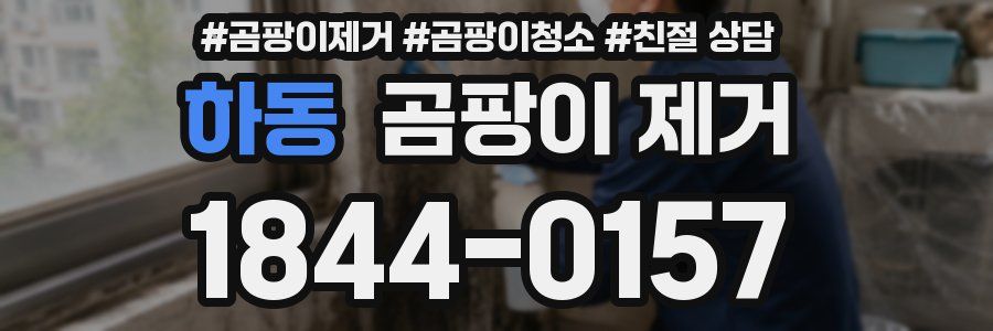 하동 곰팡이 제거