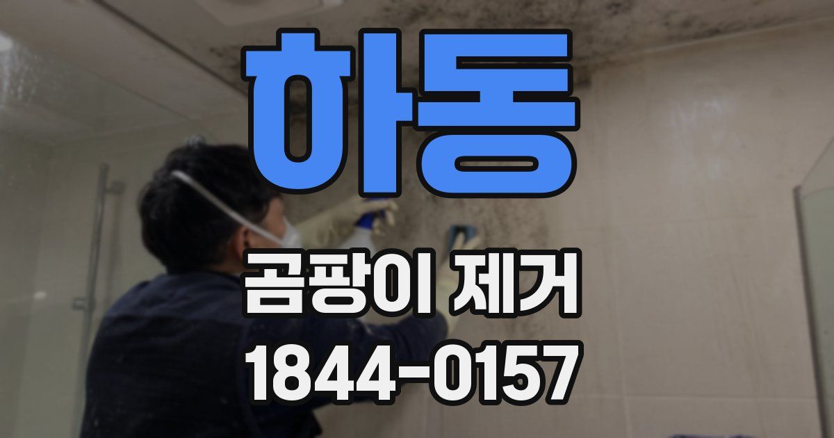 하동 곰팡이 제거