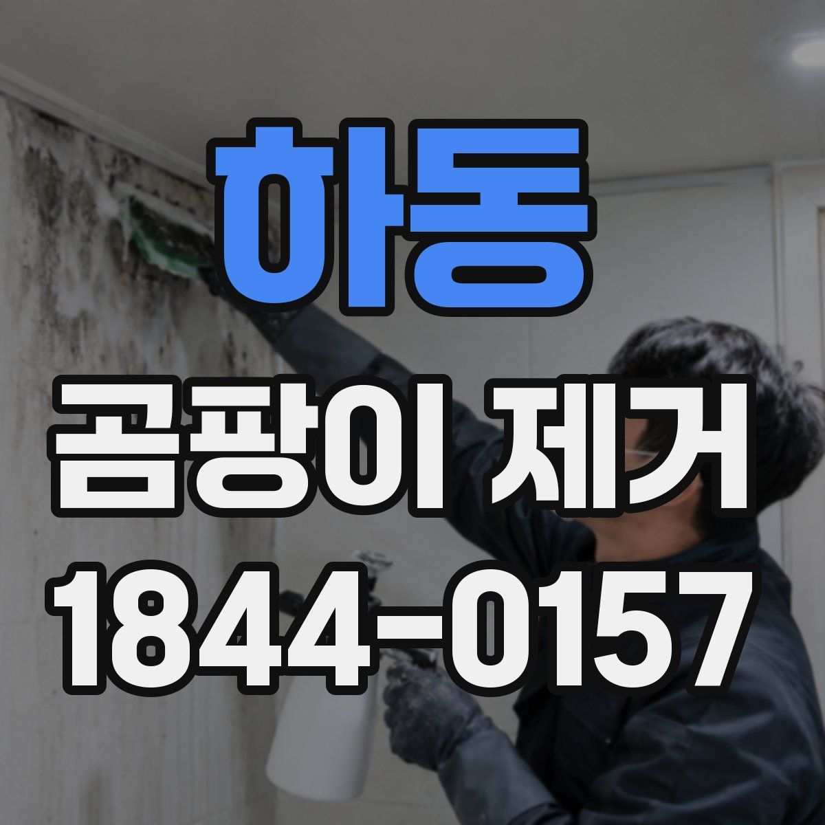 하동 곰팡이 제거