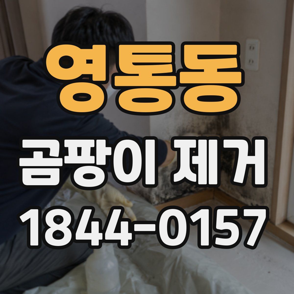 영통동 곰팡이 제거