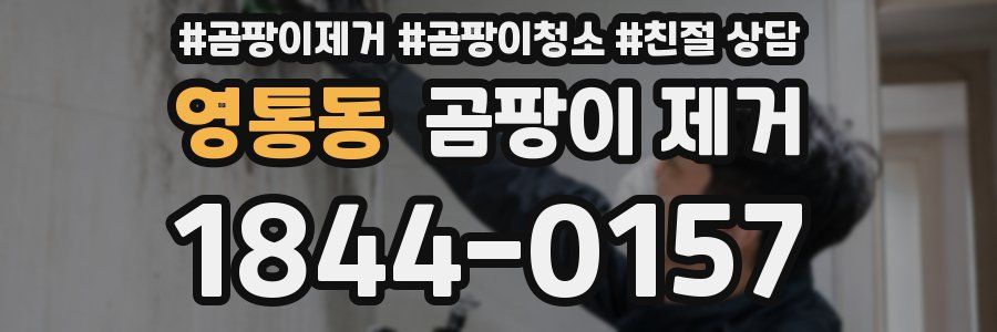 영통동 곰팡이 제거