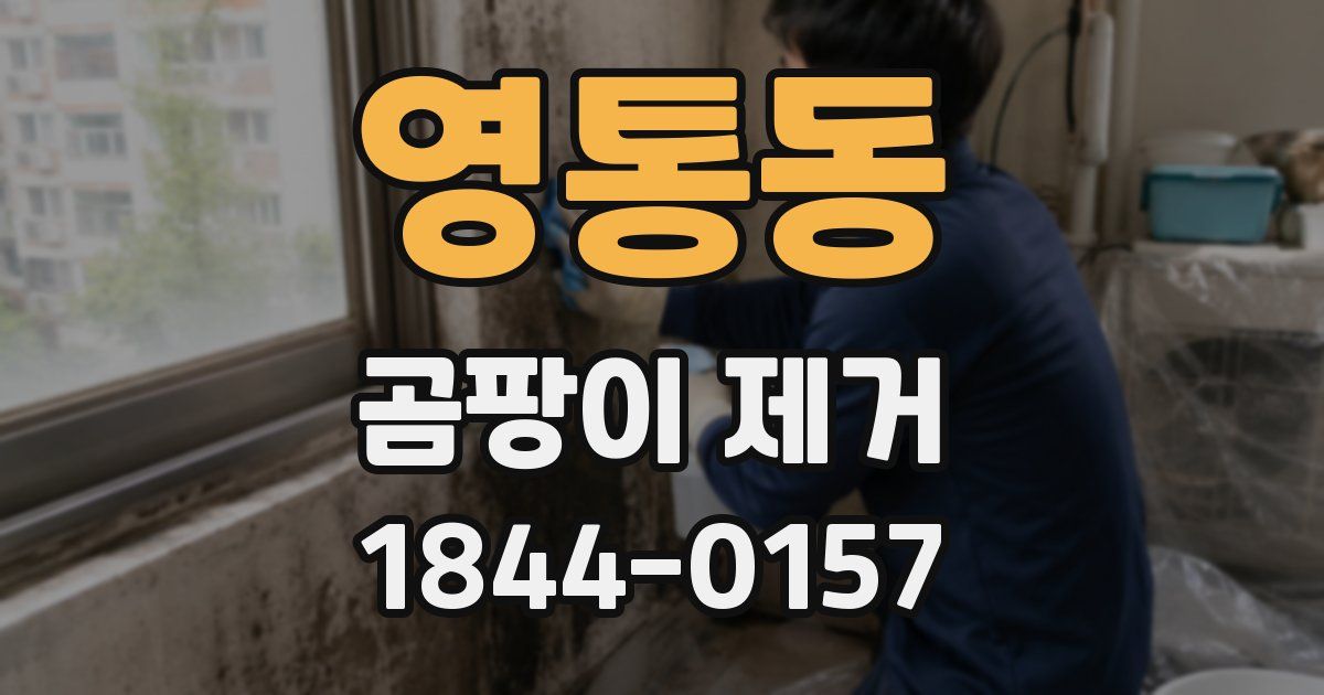 영통동 곰팡이 제거