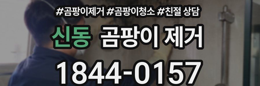 신동 곰팡이 제거