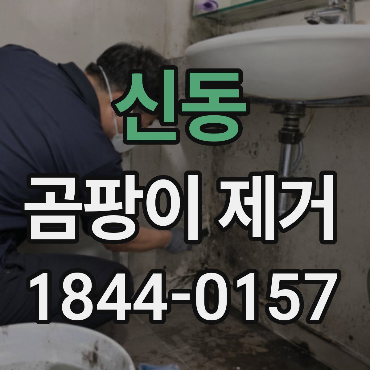 신동 곰팡이 제거