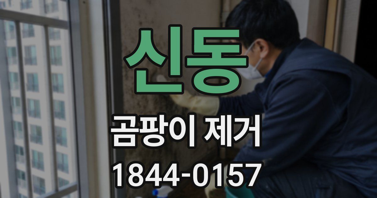 신동 곰팡이 제거