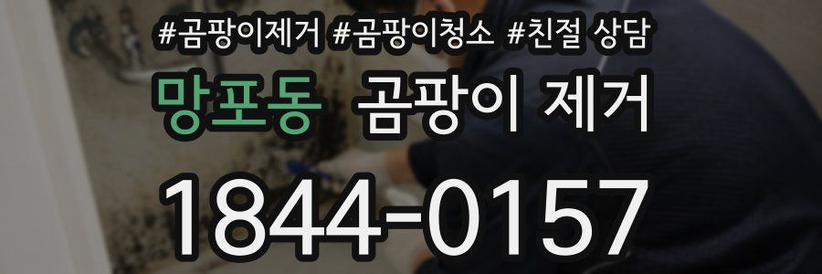 망포동 곰팡이 제거