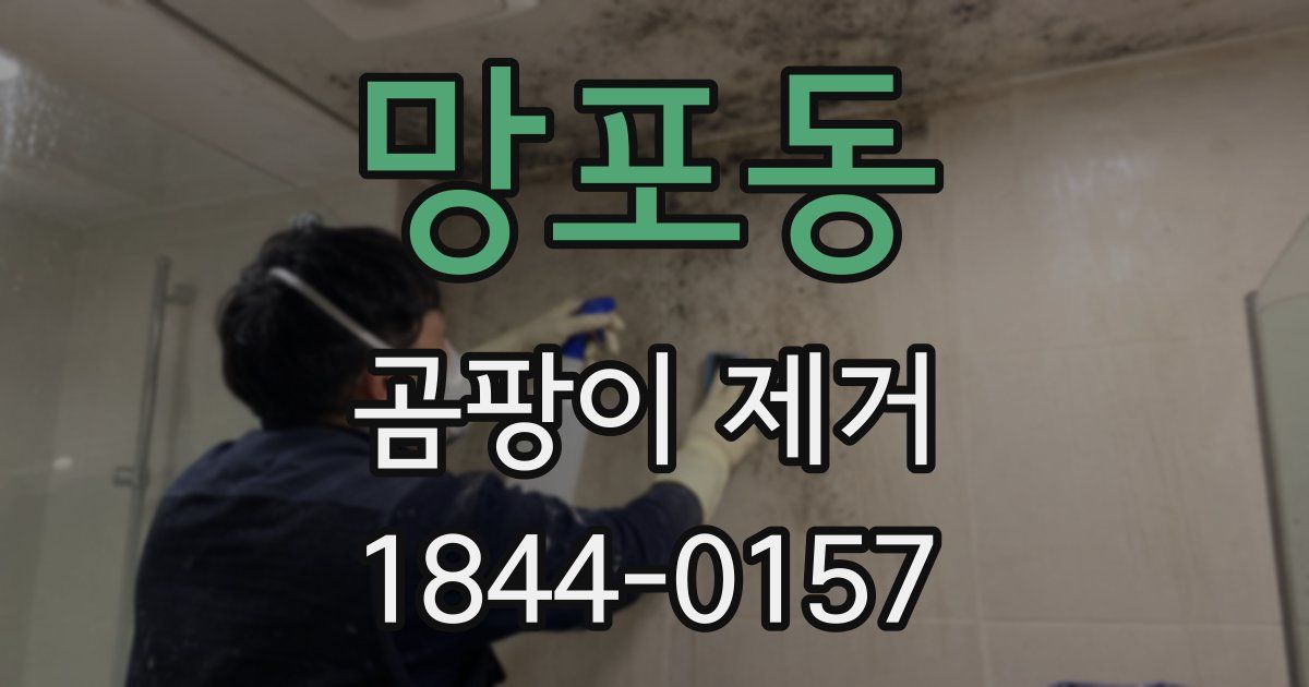 망포동 곰팡이 제거