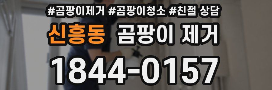 신흥동 곰팡이 제거