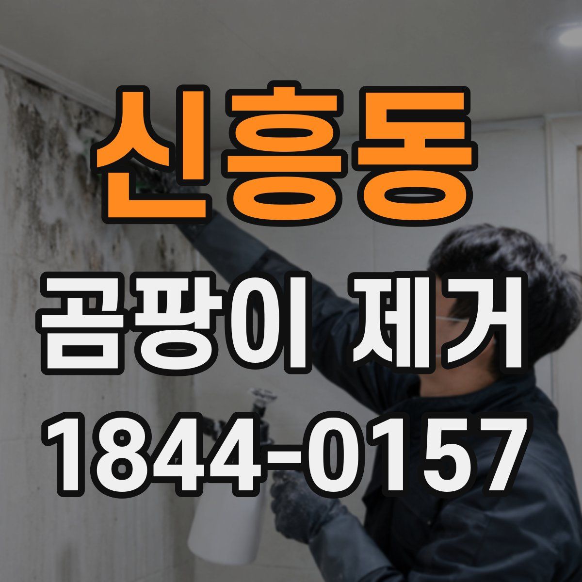신흥동 곰팡이 제거