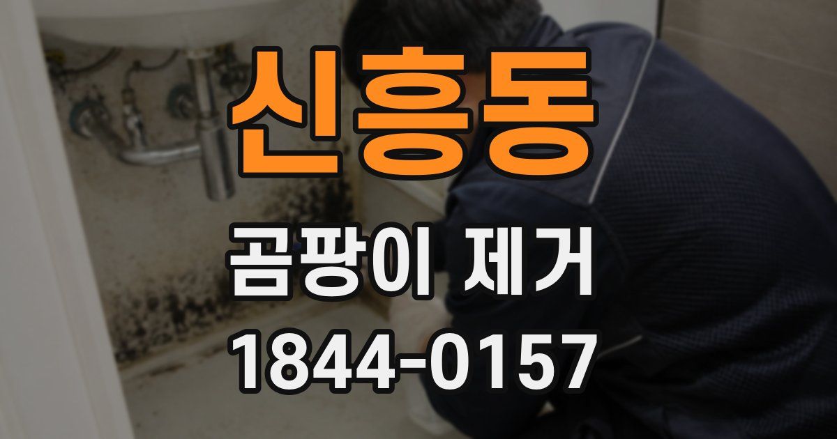 신흥동 곰팡이 제거