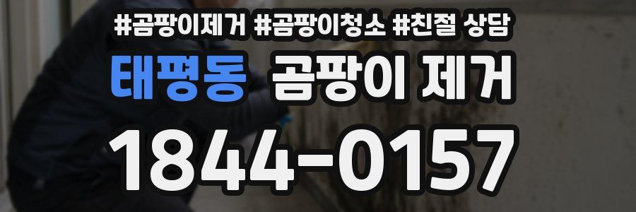 태평동 곰팡이 제거
