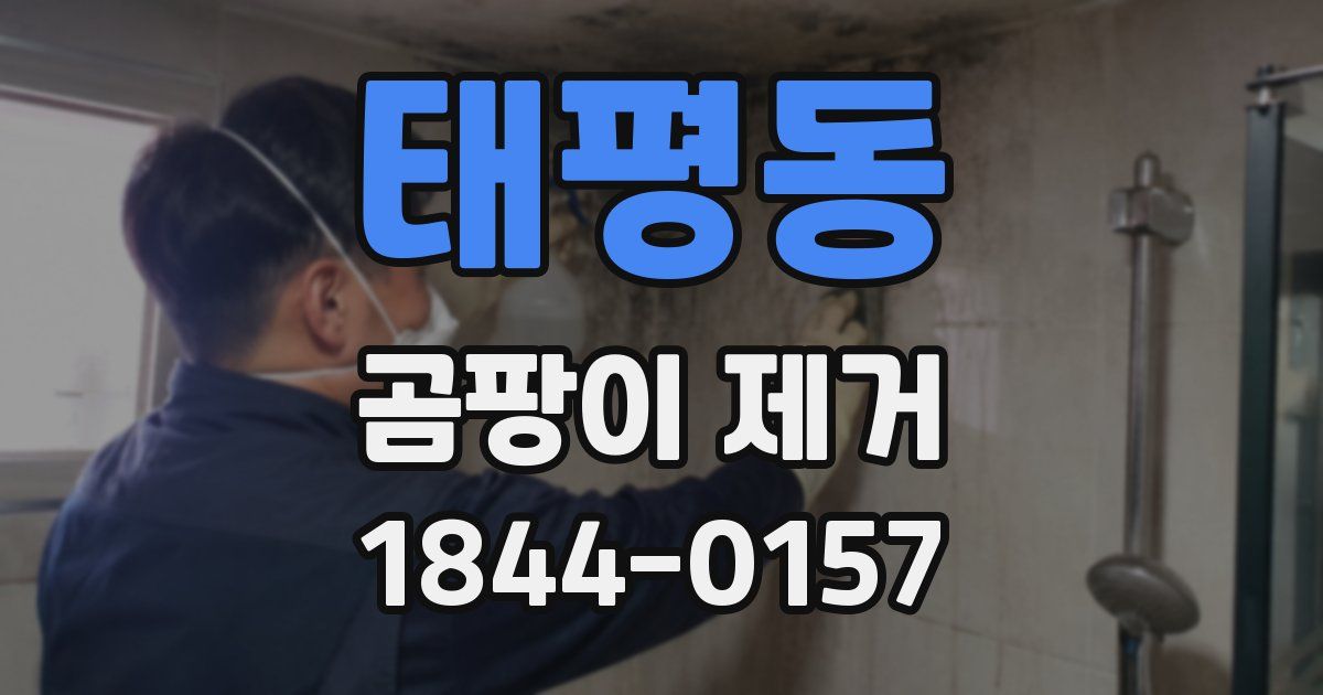 태평동 곰팡이 제거