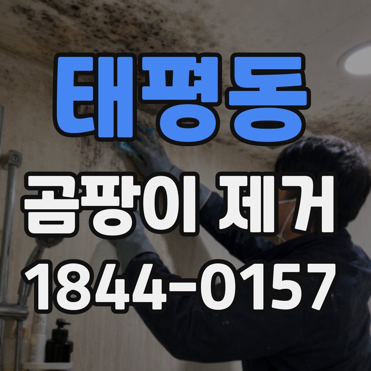 태평동 곰팡이 제거