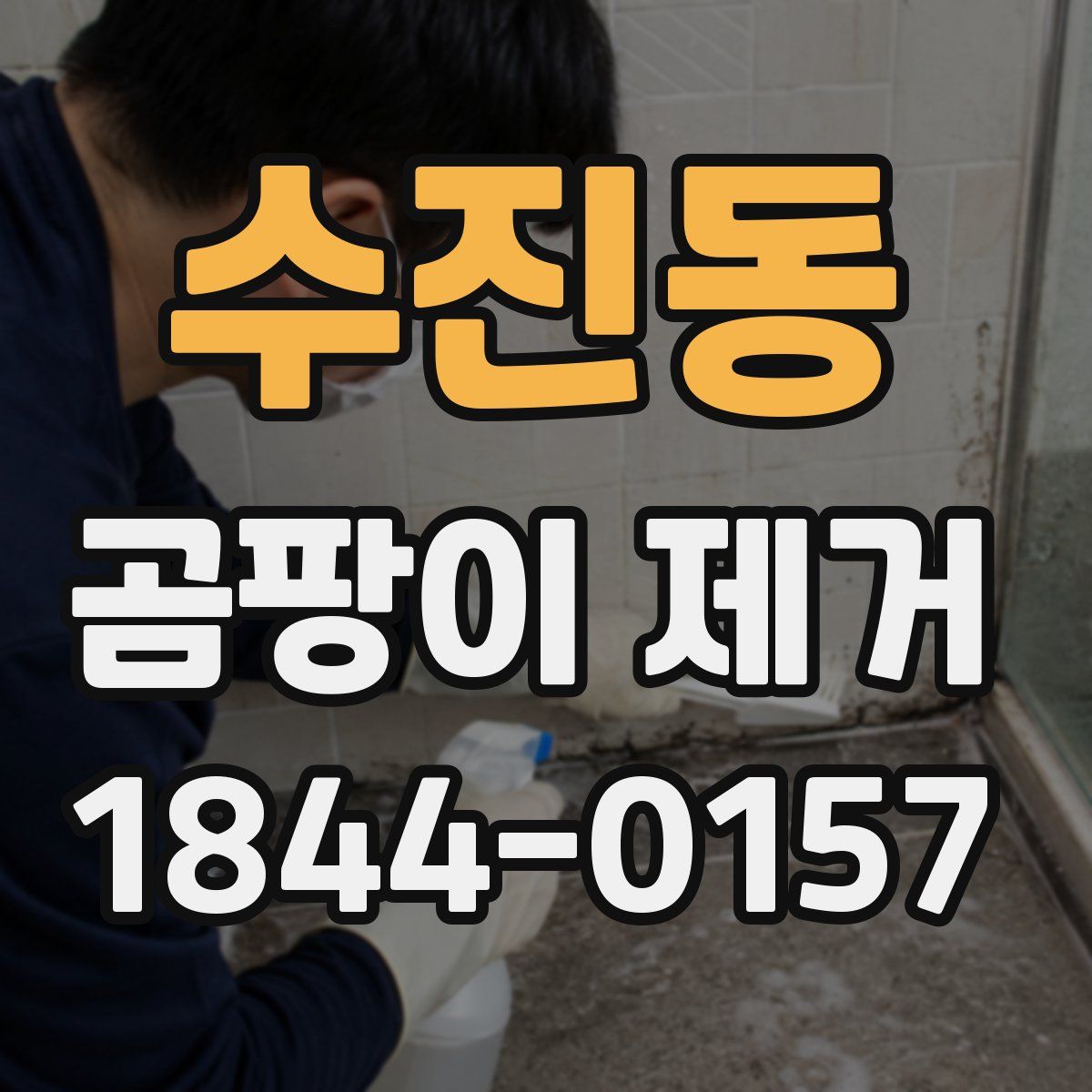 수진동 곰팡이 제거