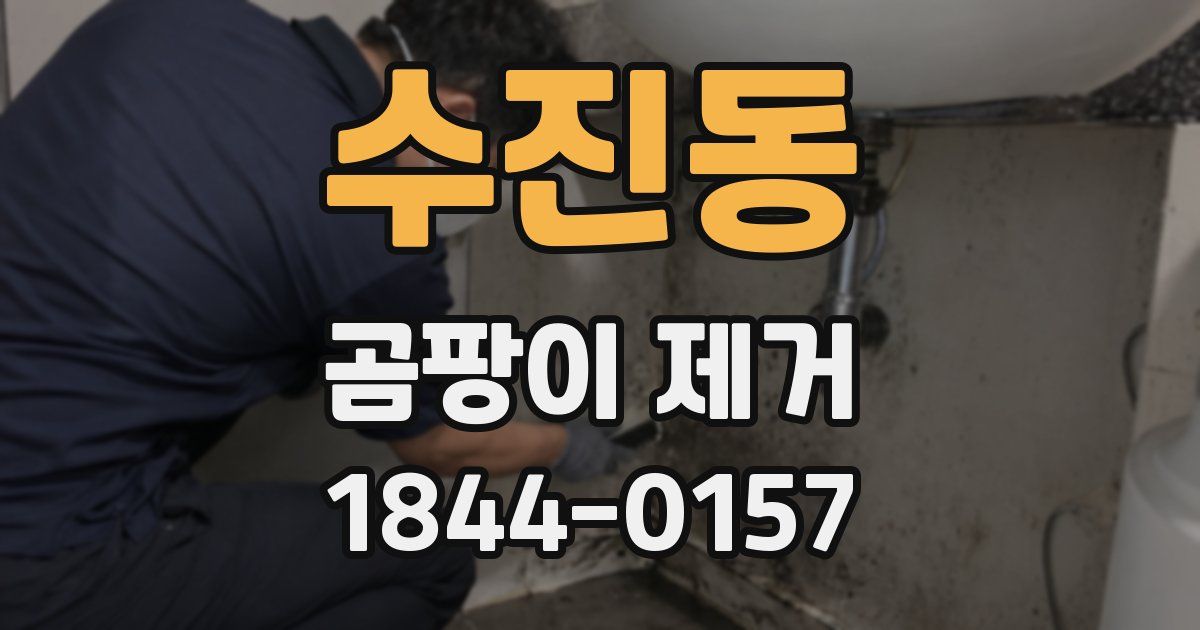 수진동 곰팡이 제거