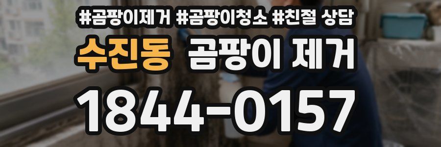 수진동 곰팡이 제거