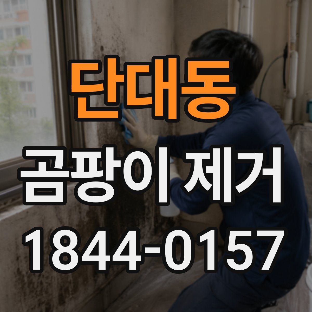 단대동 곰팡이 제거