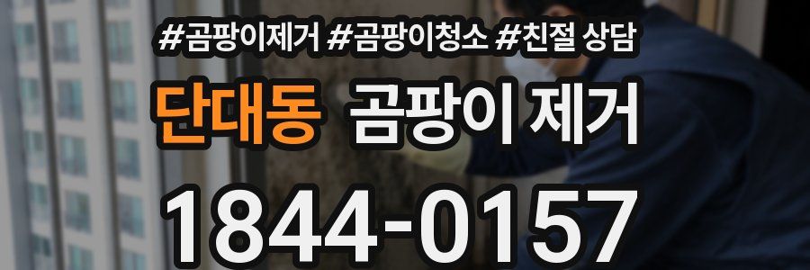 단대동 곰팡이 제거