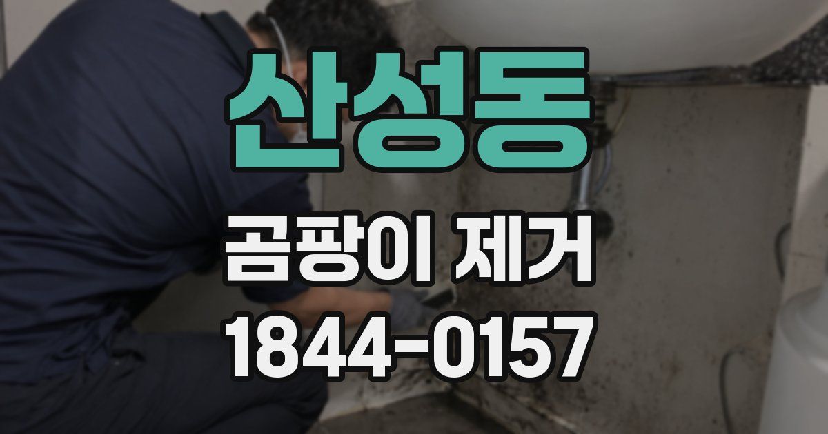 산성동 곰팡이 제거