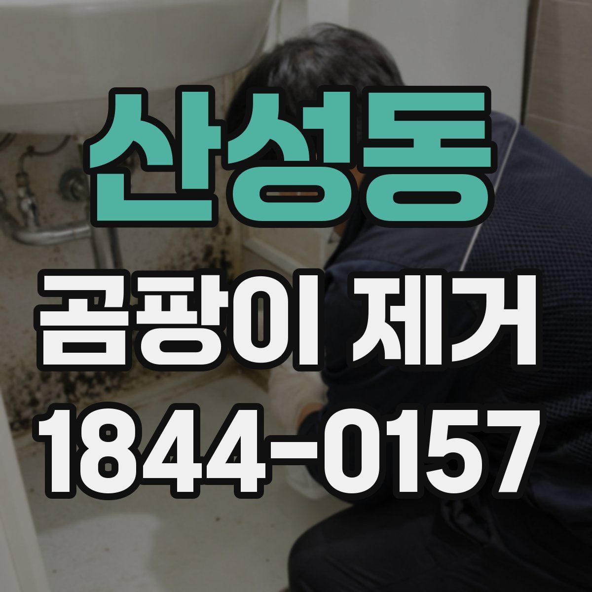 산성동 곰팡이 제거