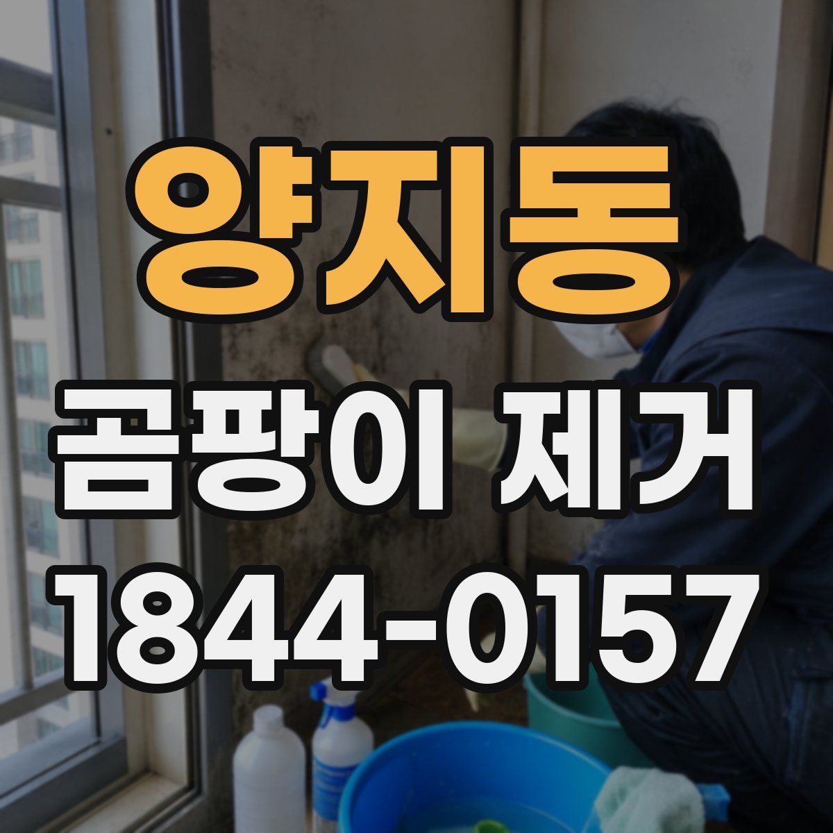 양지동 곰팡이 제거