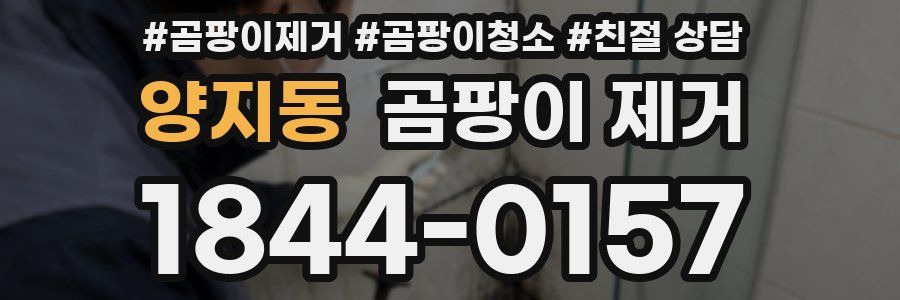 양지동 곰팡이 제거