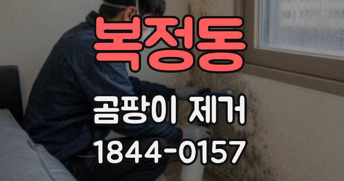 복정동 곰팡이 제거