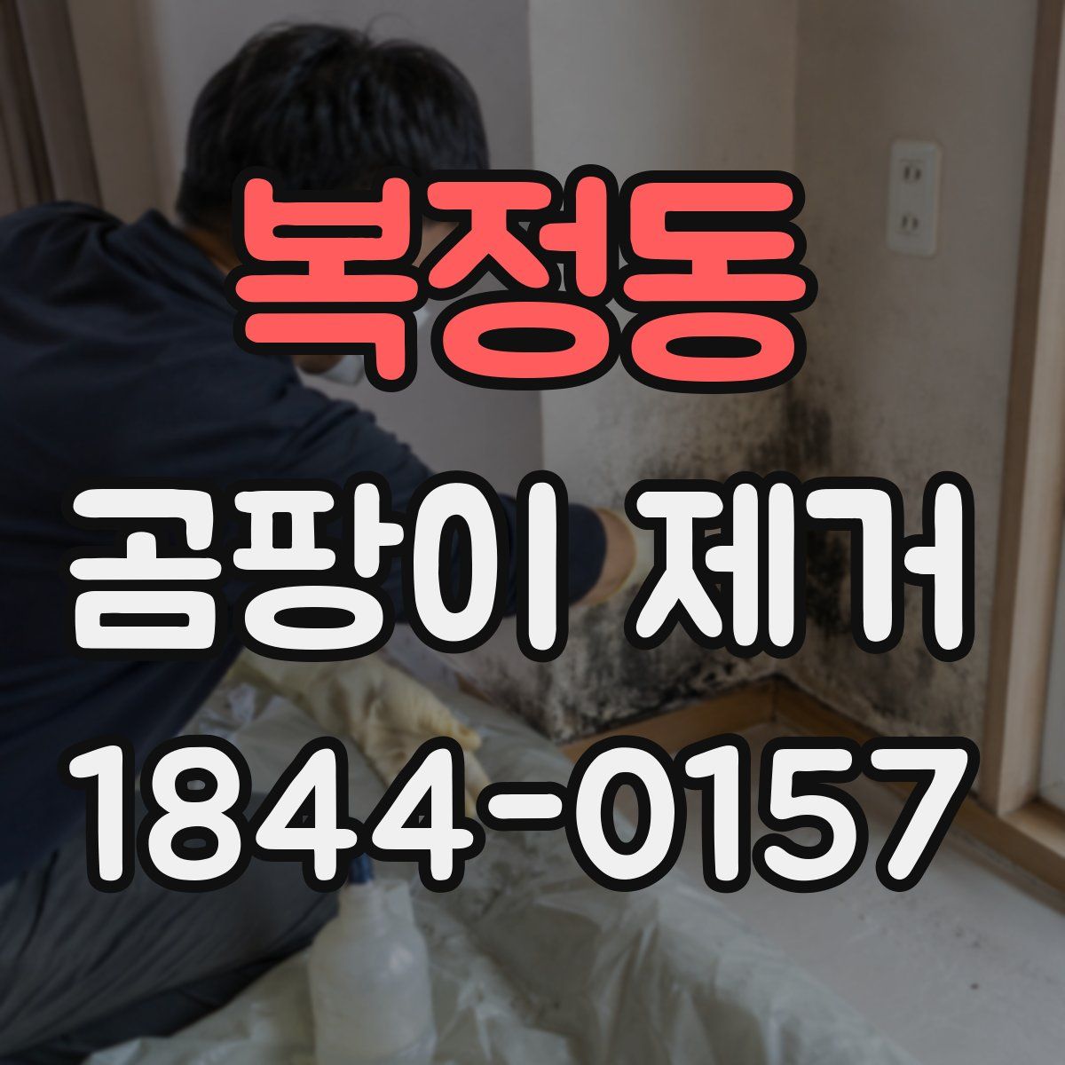 복정동 곰팡이 제거