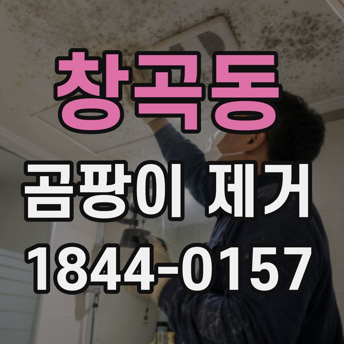 창곡동 곰팡이 제거