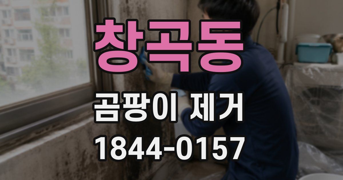 창곡동 곰팡이 제거