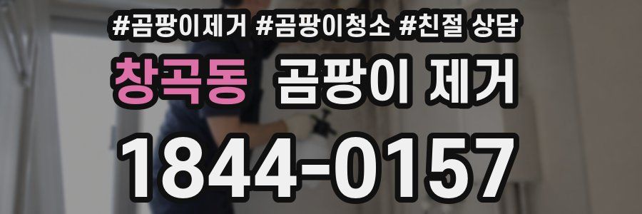 창곡동 곰팡이 제거