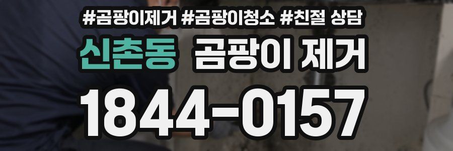 신촌동 곰팡이 제거