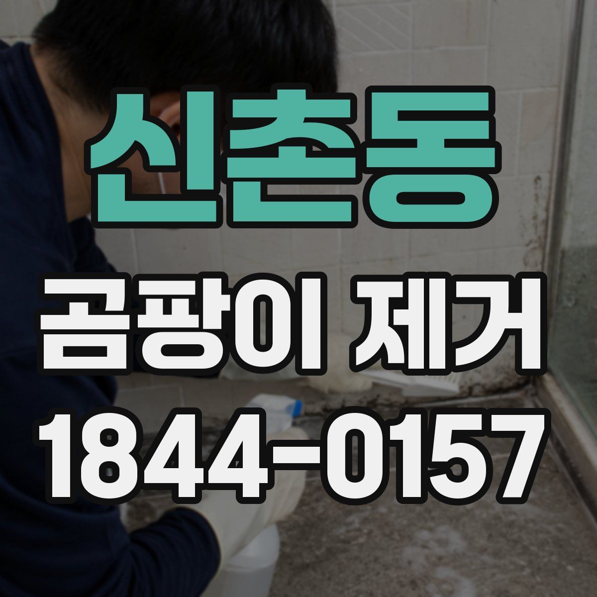 신촌동 곰팡이 제거