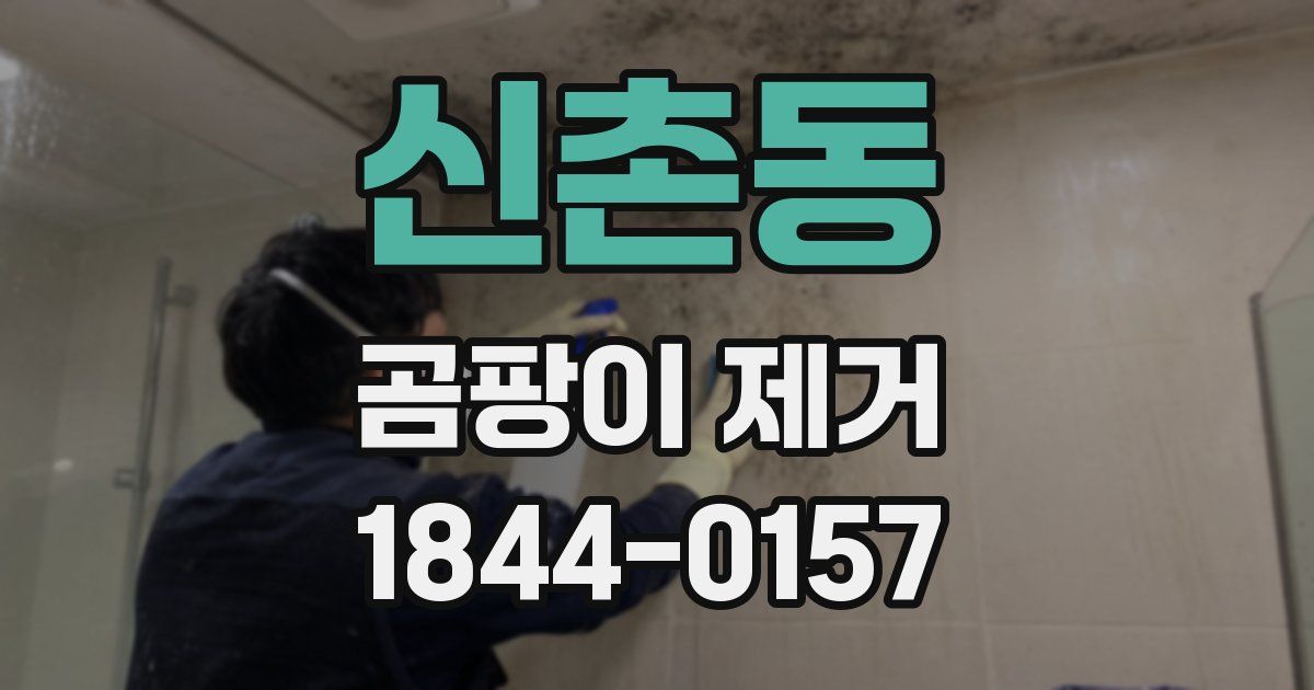 신촌동 곰팡이 제거