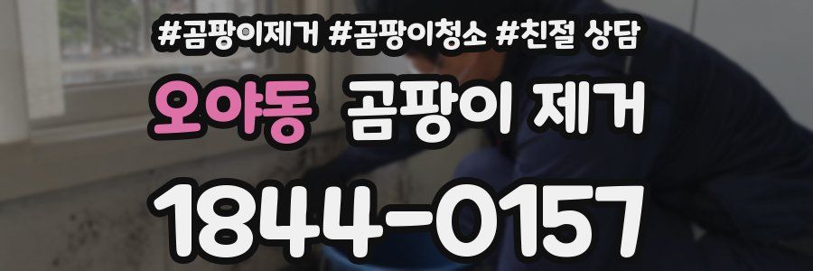 오야동 곰팡이 제거