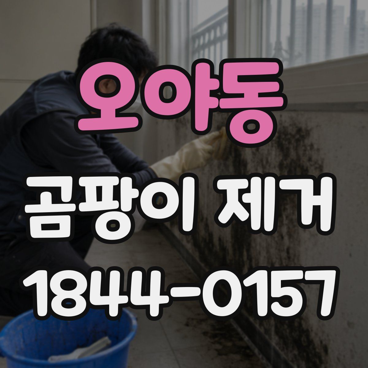 오야동 곰팡이 제거