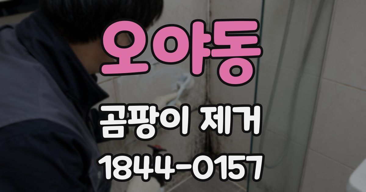 오야동 곰팡이 제거