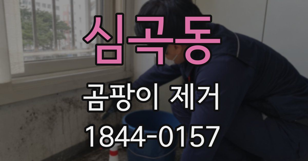 심곡동 곰팡이 제거