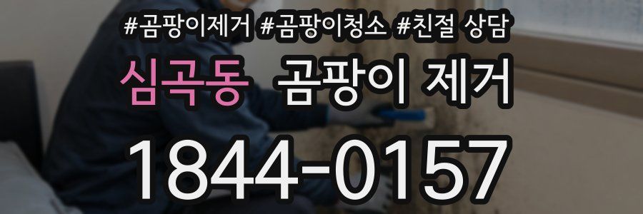 심곡동 곰팡이 제거