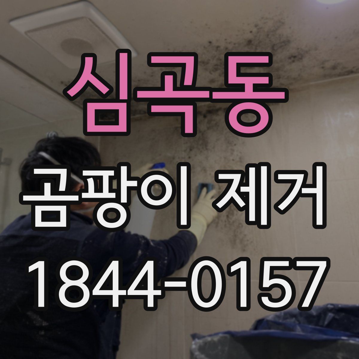 심곡동 곰팡이 제거