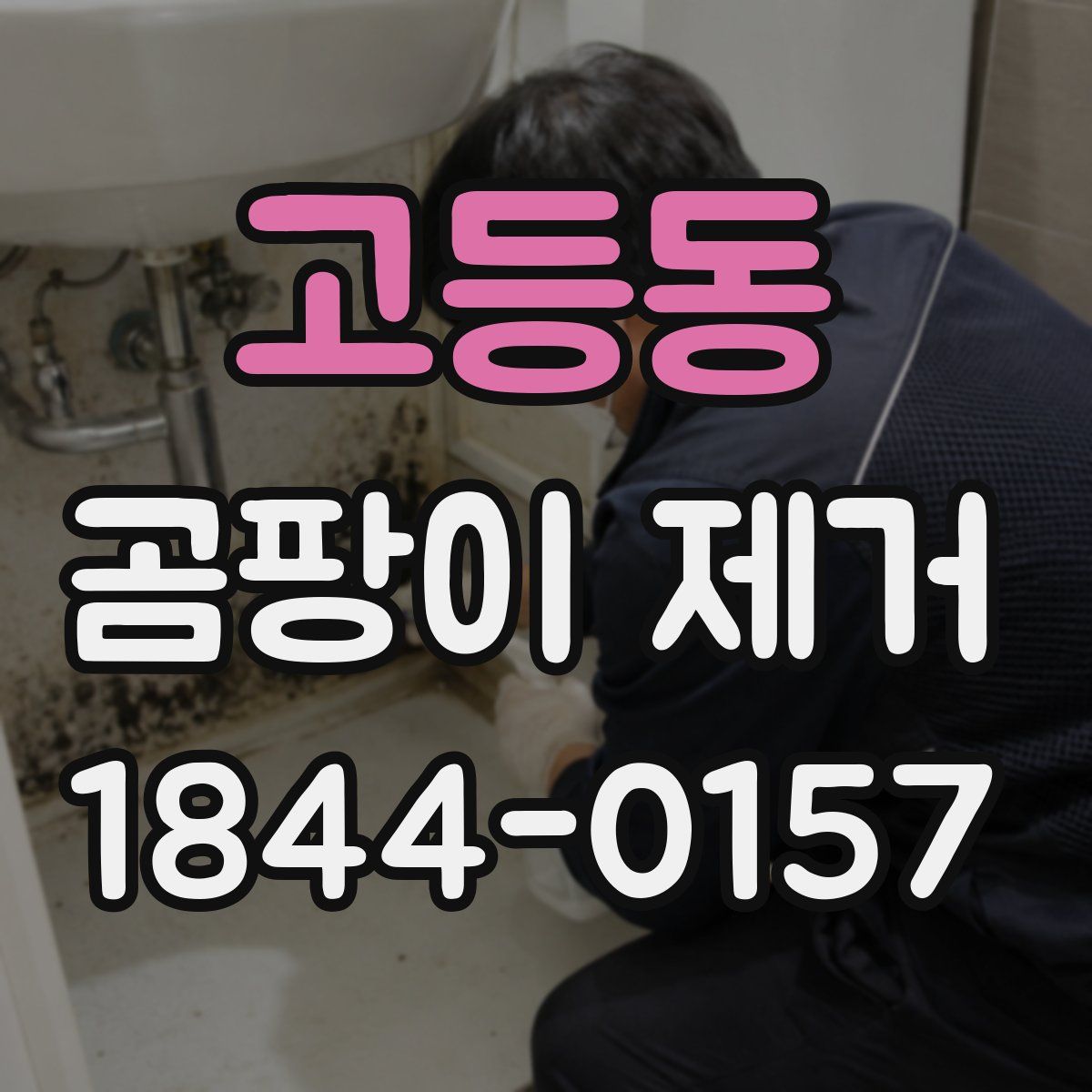 고등동 곰팡이 제거