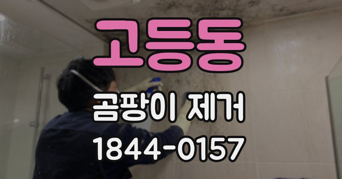 고등동 곰팡이 제거