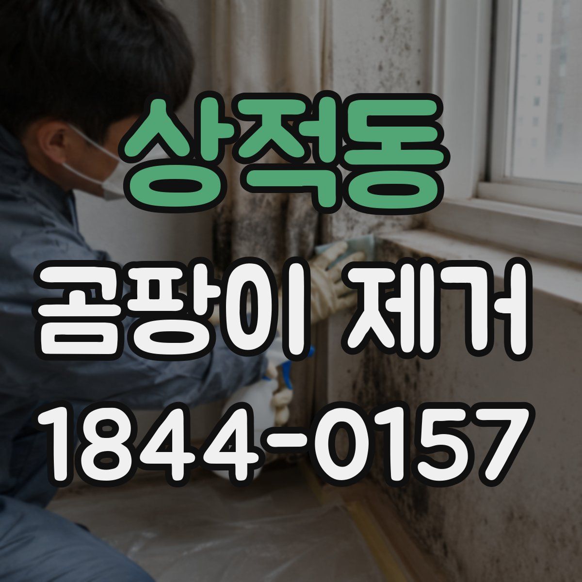 상적동 곰팡이 제거